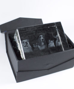 Photo Crystal 3D 120mm Rectangle Gift Box